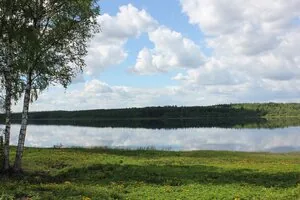 Фотография объекта Солнечная